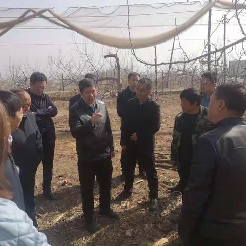 何延林调研指导农业农村重点工作