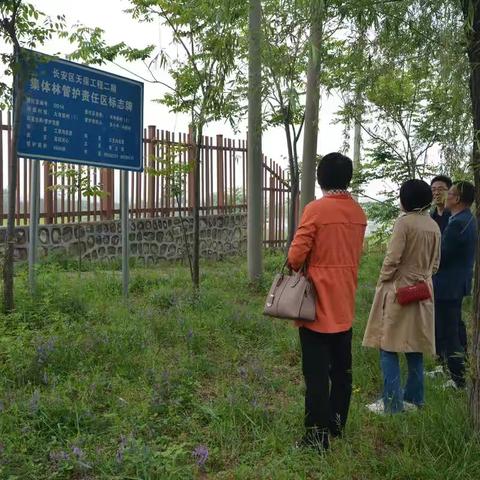 长安区秦岭保护局联合区财政局验收天保工程集体林管护责任区标志牌项目