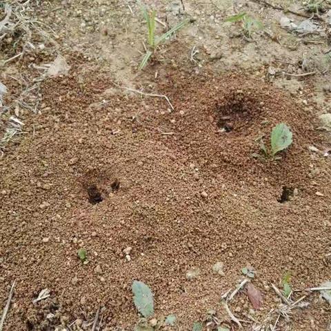 不懈努力，共建家园！加油！