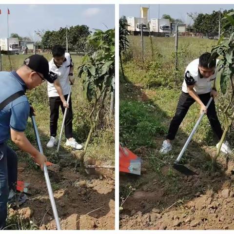 海口琼山果菜副食品公司参加植树主题党日活动