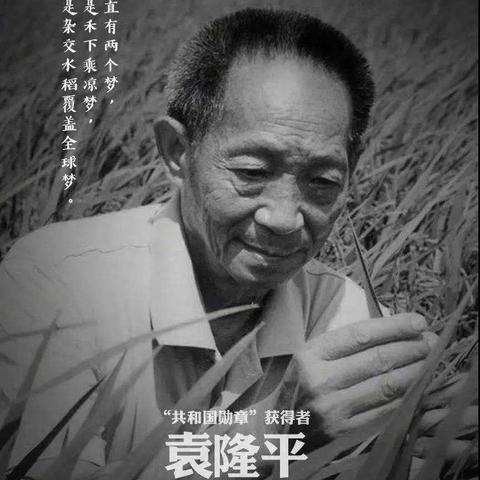 禾下乘凉 我们接棒——河北丰润车轴山中学召开缅怀袁隆平先生主题班会