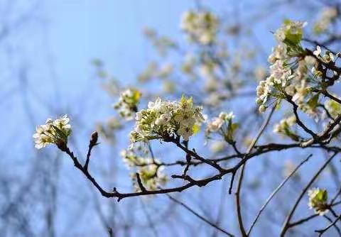 春暖花开复学日  凝心聚力同学习——平城区十四校五年级开学第一天