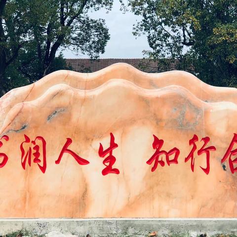 秋色绚烂林尽染 、一片浓浓敬老情---金溪三中工会开展爱老敬老活动