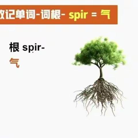 spir=气