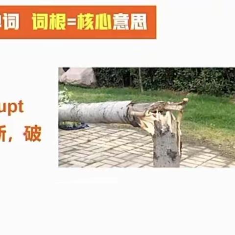 rupt=断,破