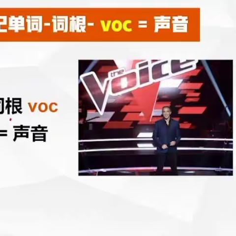 voc=声音