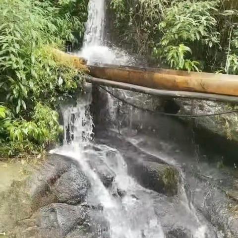 我的快乐暑假