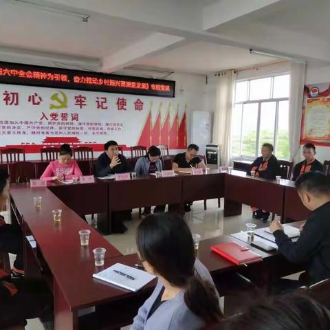 《深入贯彻六中全会精神，奋力推动乡村振兴高质量发展》专题党课