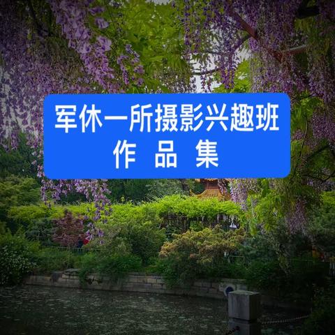 静安军休一所摄影兴趣班作品集