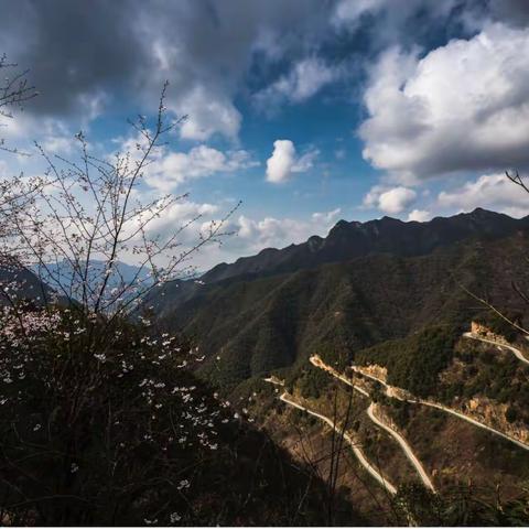 在云雾中穿越-皖南川藏线之桃岭
