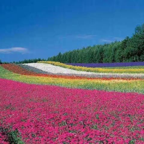 兰陵十中高二九班家长会