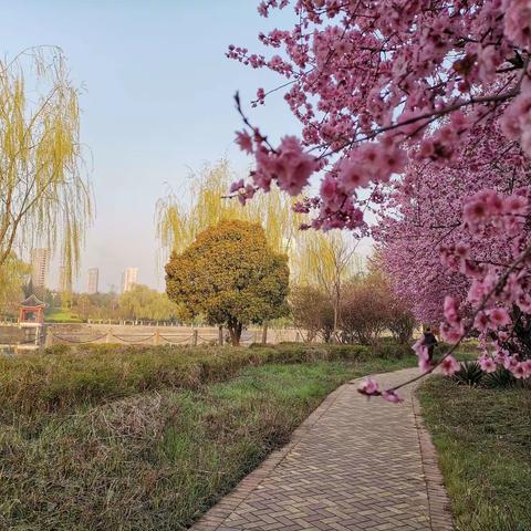 兰陵十中高一11班主题班会片花