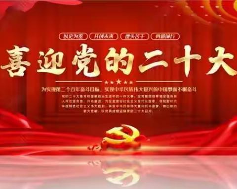 喜迎二十大，争做好少年！