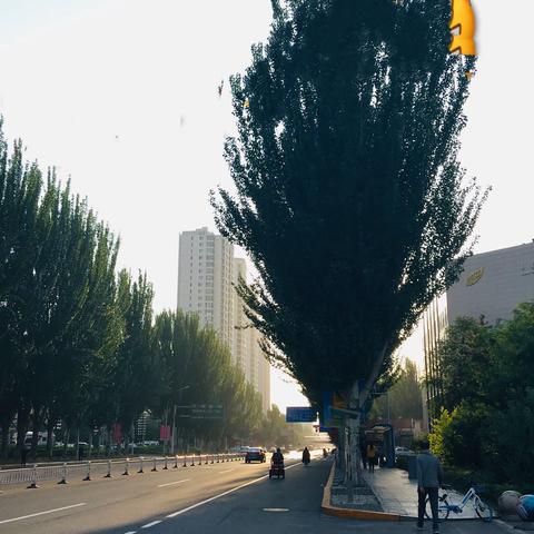 多少记忆已尘封 唯独难忘曾知青