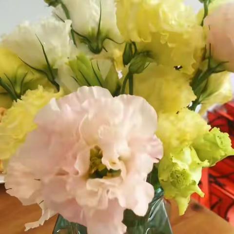 瑜伽是一项运动，它能强身健体、塑造美丽线条；瑜伽是一种生活，它超越了运动，甚至成为习惯。