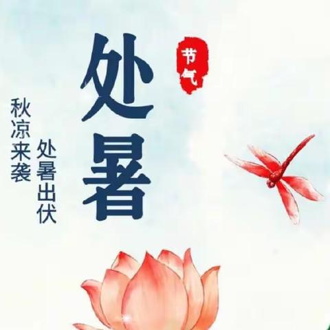 “处暑至，秋意浓”——北林里幼儿园