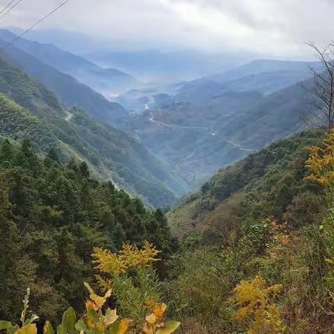 《东瓜湖vs别墅》