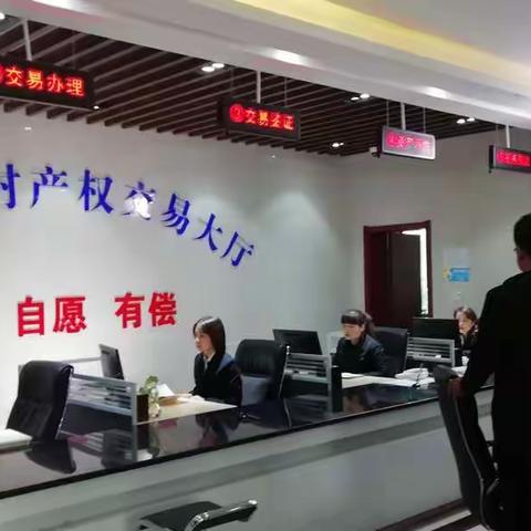 市产权交易中心来我区拍摄农村产权交易宣传片