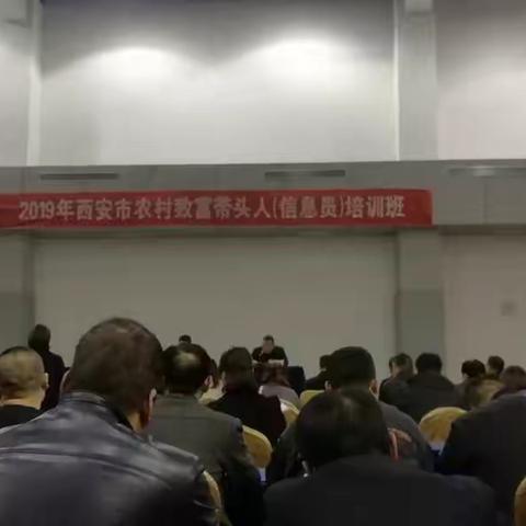 临潼区组织参加2019年西安市农村致富带头人（信息员）培训会
