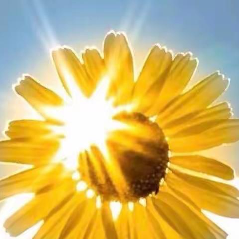 向阳，总有光🌻