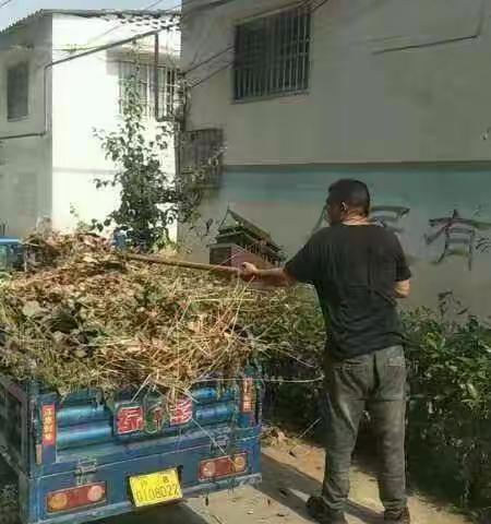 【“五星”创建】崔庄社区：三项举措促创建