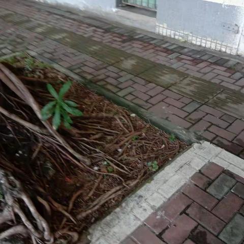 关于【质量考核——秀英8月16日上午】的问题情况反馈