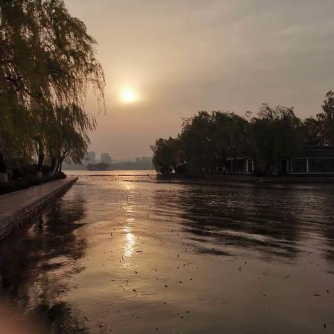 走进山东