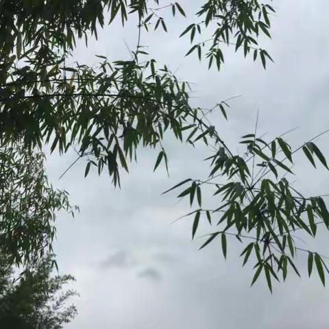 绥江情