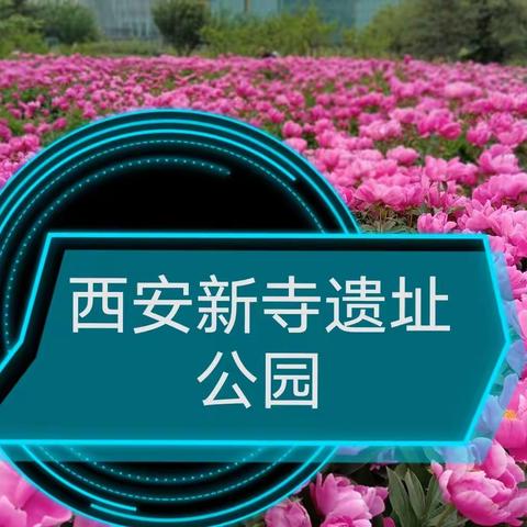 新寺遗址公园