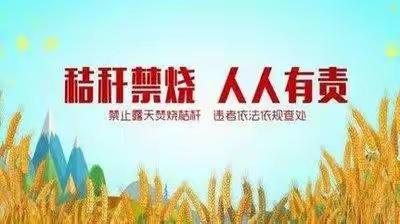 活力定安，文明有我|定城镇秸秆禁烧在行动