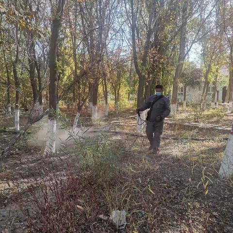 清理林带杂草，共建美丽医院