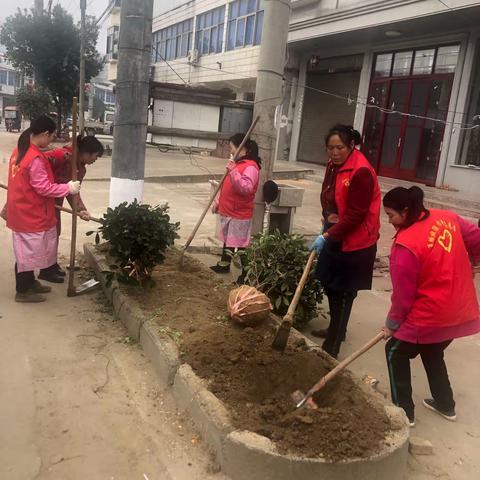 美丽乡村 巾帼行动——观庙镇充分发挥巾帼力量 提升人居环境质量