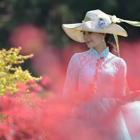 金船山红枫林2019