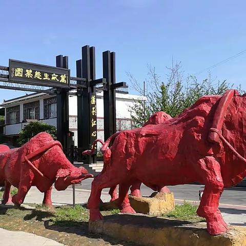 致美茶园~名山牛碾坪