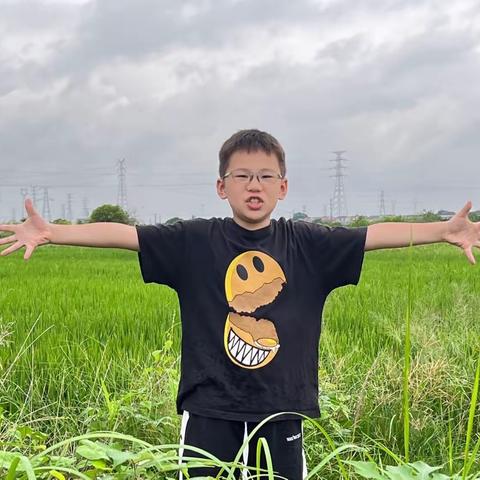 盛夏已过，秋收冬藏