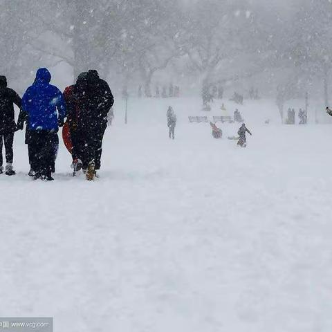 爱能解冻——硚口营业所防冻保供表务篇