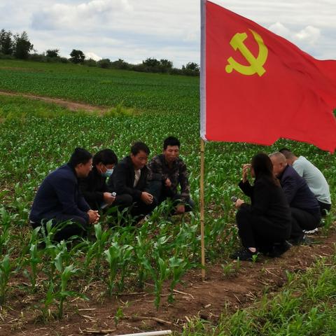 乌市农科局推行“三三三”工作法，学史力行当先锋，服务三农我先行