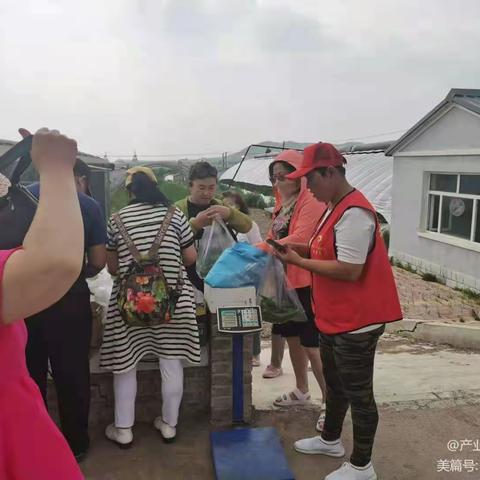 “我是产业指导员，我帮你”，“旅游采摘” 另辟“直供平 台”新途径