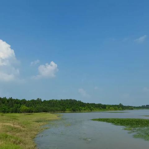 淮河垂钓记