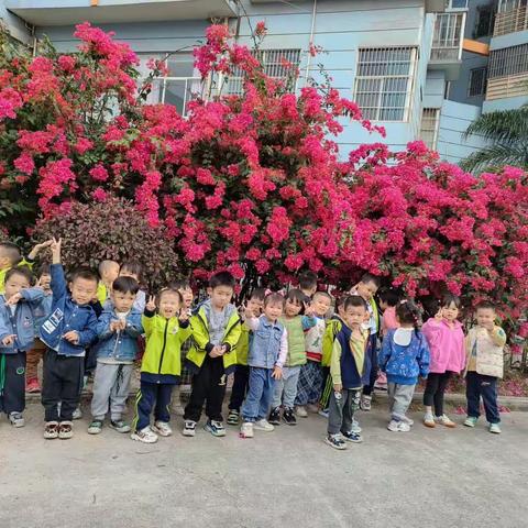 你好呀，春天！