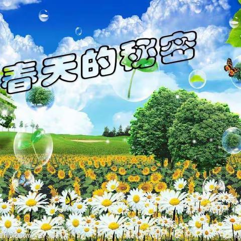 青岛西海岸盈泰幼儿园——“空中课堂”（第十四期）