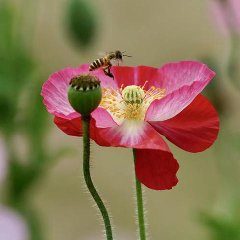 2021年第50期江南风韵摄影艺术群作品展