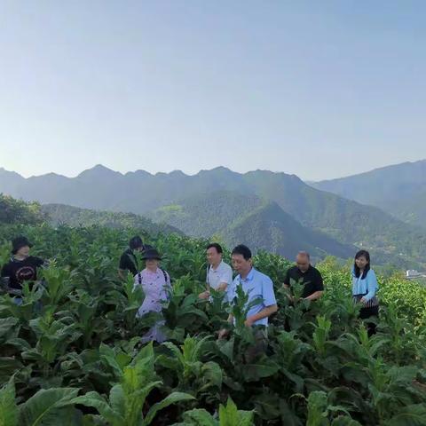 省级在岚定点帮扶团6月工作动态