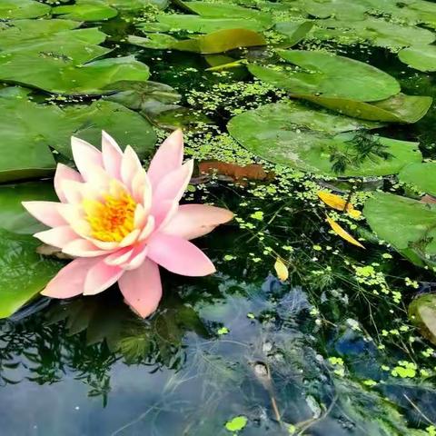修文沙溪村