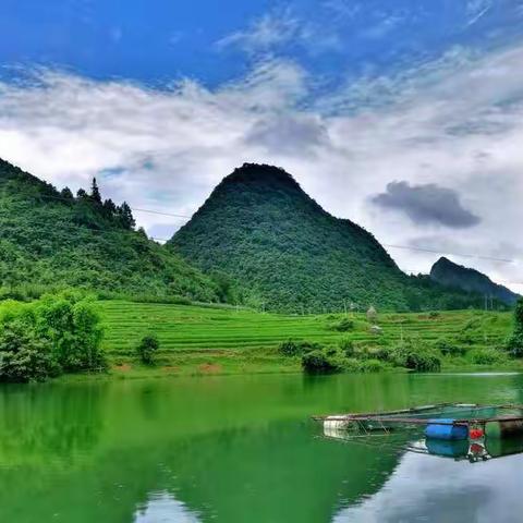 荔波行