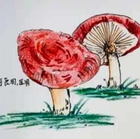 人间烟火味，最抚凡人心——八年二十三班《昆明的雨》学习小练笔