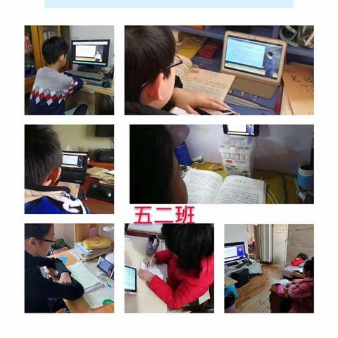 别样的课堂，别样的收获——示范区第五学区晋安小学五年级停课不停学活动纪实