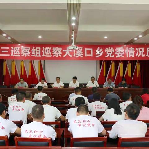 县委第三巡察组巡察大溪口乡党委情况反馈会