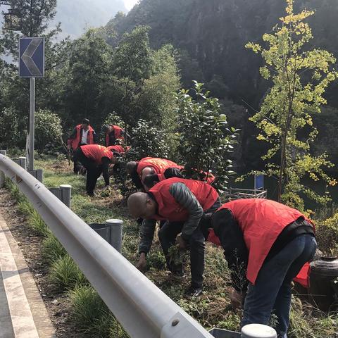 溪口村：接过火炬向前跑，干好开门一件事