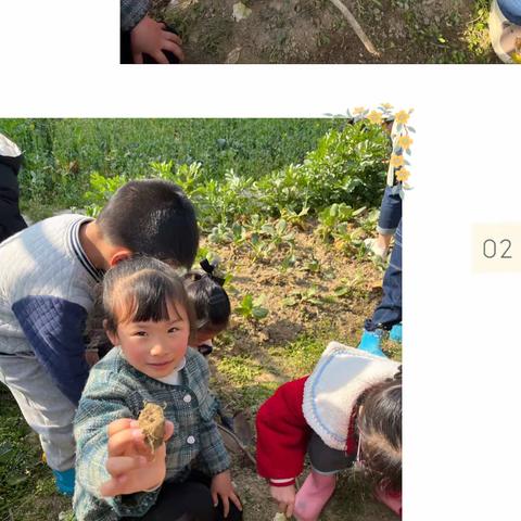 泥土大探秘—大二班